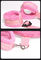 Pink Cushion BDSM Wrist And Ankle Cuffs Adult Bondage Kits